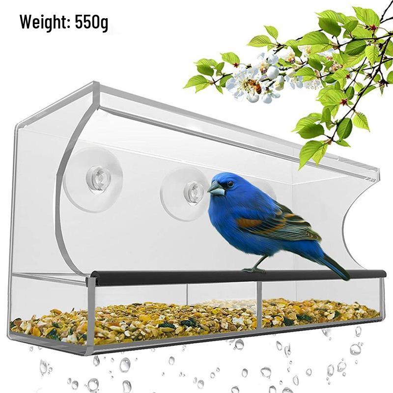 Clear Acrylic Wall-Mounted Bird Feeder with Suction Cups