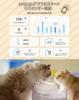 PETGUGU Smart Automatic Pet Water Dispenser for Cats with 2L Large Quiet Water for Cats and Small To Medium Dogs App, Capacity, 8-Layer Filter,