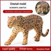 Wildtier-Katzen-Spielzeug-Set: Gepard, Leopard, Jaguar - Pädagogisches Geschenk für Kinder