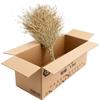 Lubao Bamboo Broom