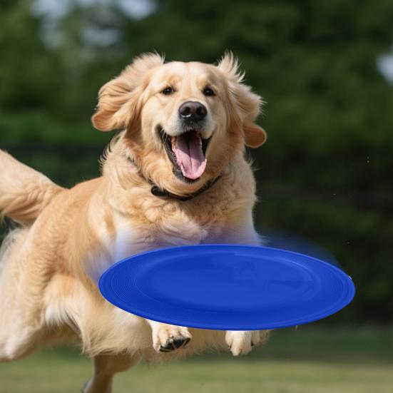 Dog Flying Disc Toy Interactive Dog Fetch Toy Toss-and-Catch Entertainment Toy for Medium Large Dogs Outdoor Training Play Exercise