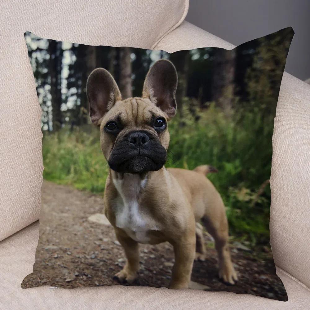 Home Decor Cute Pet Mini French Bulldog Pillowcase Sofa Car Decoration Animal Dog Cushion Cover Printed
