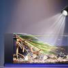 USB Mini Clip-on Lamp Adjustable Aquarium Plant Light LED Aquarium Light  Home Decorations