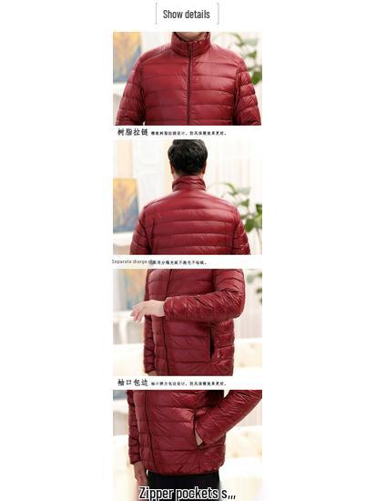 Men's Lightweight Down Jacket - Midlife & Senior, Plus Size, Short, Autumn/Winter Coat