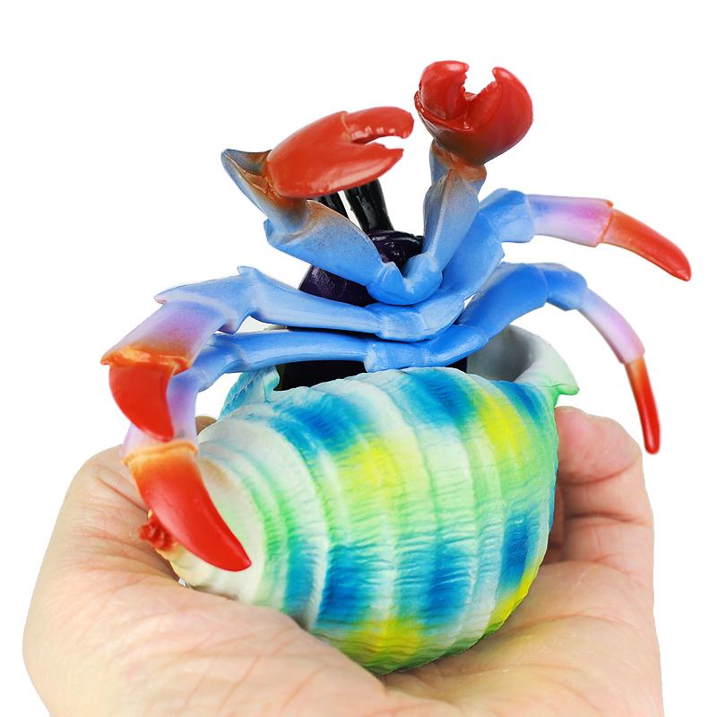 Hermit Crab Figurine Sea Life Animals Model Figure Educational Toy Boys Girls Kids Ages 18M for and Kid Friendly Entertaining Fun Play Safe