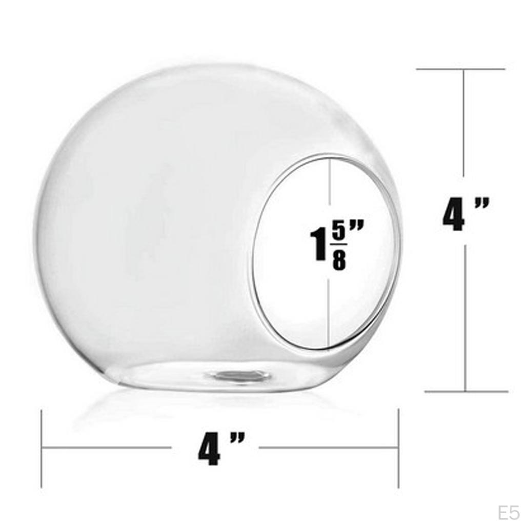 Glass Vase Flower Pot Fish Tank Terrarium Wall Hanging Pots
