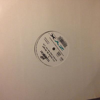 12inch Record TECHNOCAT - Its Gonna Be Alright ZYX834612 ZYX Music 1996 Germany Dance & Electronica Used