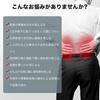 [2025 New Design X Expert Supervision] Lumbar Support Belt, Lumbar Care, Pelvic Belt, Pelvic Support Band, Firm Support, Double Compression, Natural R