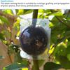Easy-Cut High-Pressure Plant Rooting & Cloning Ball - Versatile Indoor/Outdoor Gardening Tool for Propagation and Grafting