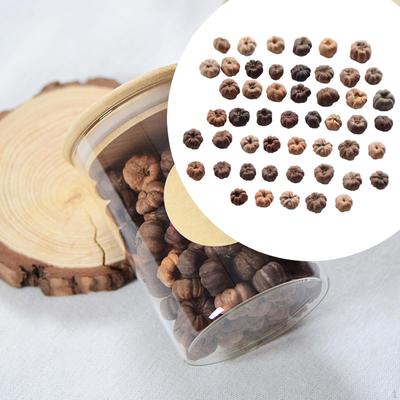 50 szt. Mini strąków Putka Naturalne suszone owoce Wypełniacze do misek Miniaturowe dynie Wypełniacz do wazonów