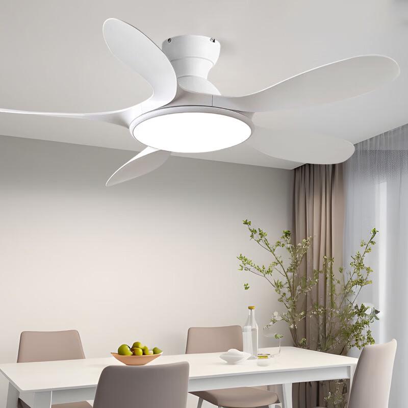 oeny 42-inch Wood Grain Ceiling Fan with Light