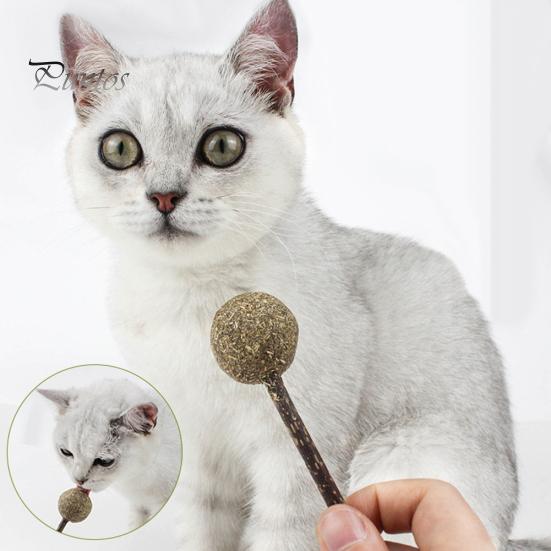Lutscherform Katzenminze Ball Katzenspielzeug Kätzchen Zähneputzen Snack Silberrebe Stick