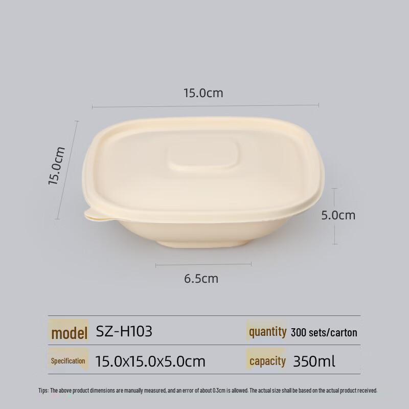 Biodegradable Disposable Rectangular Lunch Box