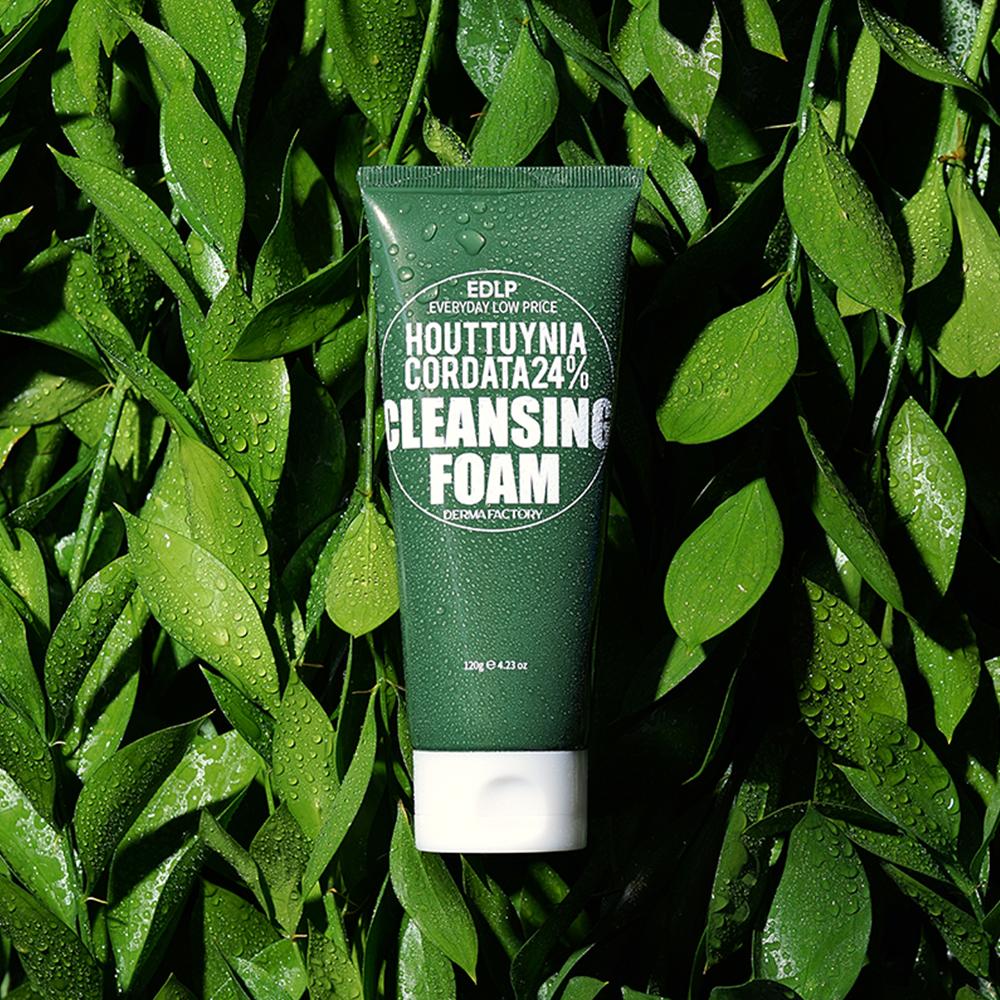 Derma Factory EDLP Houttuynia Cordata 24% Cleansing Foam – Acne Care, Sebum Control, Gentle Exfoliating Wash, Korean