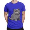 Cute British Shorthair poster Novelty 100 Cotton TShirt Shorthair Tees Tops For Unisex