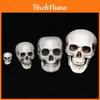 Decorazione Scena Teschio Scheletro Casa Infestata di Halloween Per Festa Spettrale