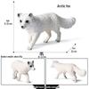 Kids' Arctic Animal Model Set: Polar Bear, Arctic Hare, Reindeer & Beluga Whale