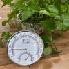 Exclusive Metal Thermohygrometer with Stand: Household Thermometer & Hygrometer for Sauna Room