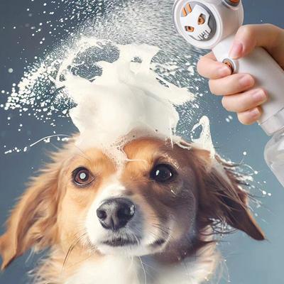 Câini – Produse pentru îngrijirea câinilor