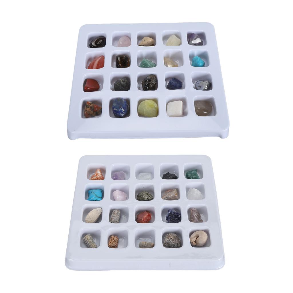 20pcs Rock Stone Colletction Kit for Boys Girls Exquisite Science Classroom Rocks and Minerals 