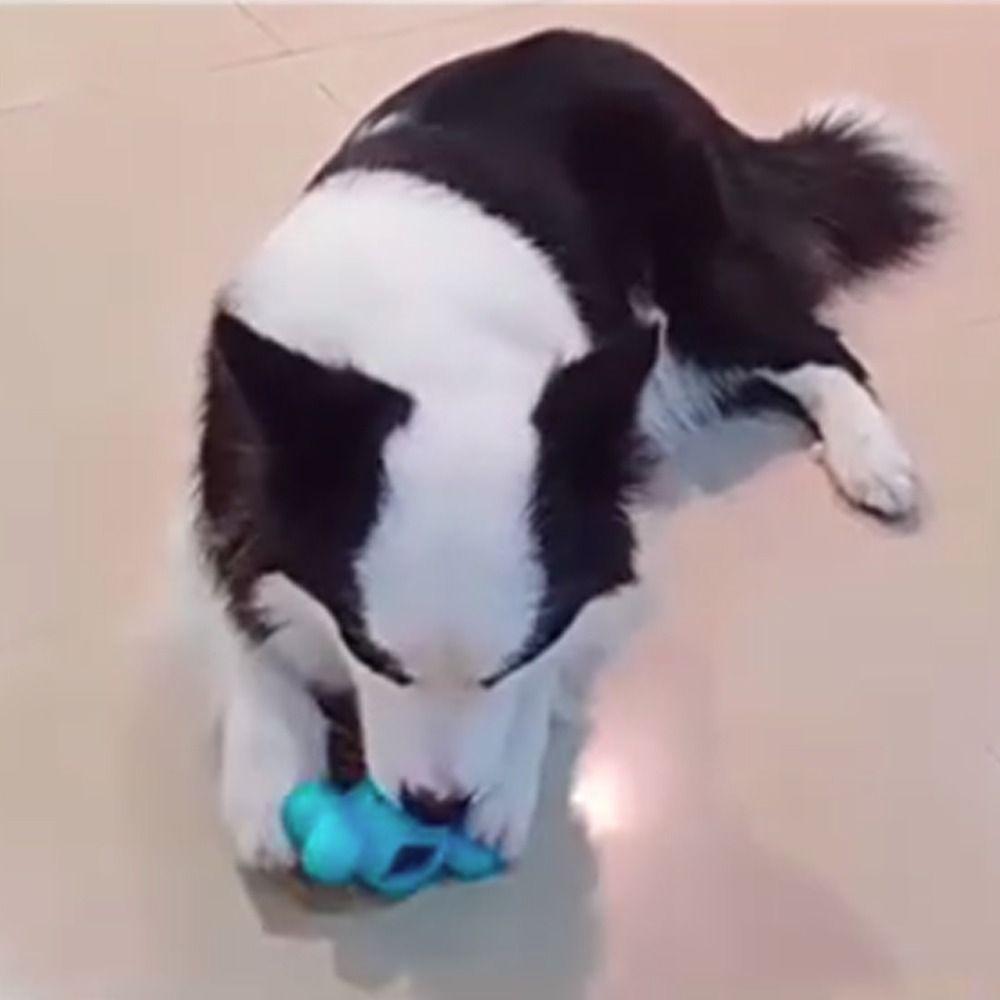 Wear-resistant Pet Chew Toy Interactive Pet Training Toy Pet Leaking Food Toy Beef Strips