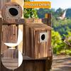 Wood Bird House with Metal Predator Guard for Yard Outside Tree-Hummingbird & Bluebird House Bird Hut Swallow Garden Decoration
