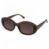 Adije Zayne (Brown-Brown) Rv1002 Sunglasses