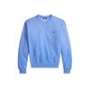 Толстовка Polo Ralph Lauren 211971697503