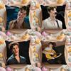 Shawn Singer M-Mendes Cushion Cover Home & Car Multi-Scene Pillow Cover - Reversible, Soft & Durable for Daily Use