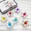 Gradient Flower Hair Claw - Summer Beach Style Hair Clip for Women