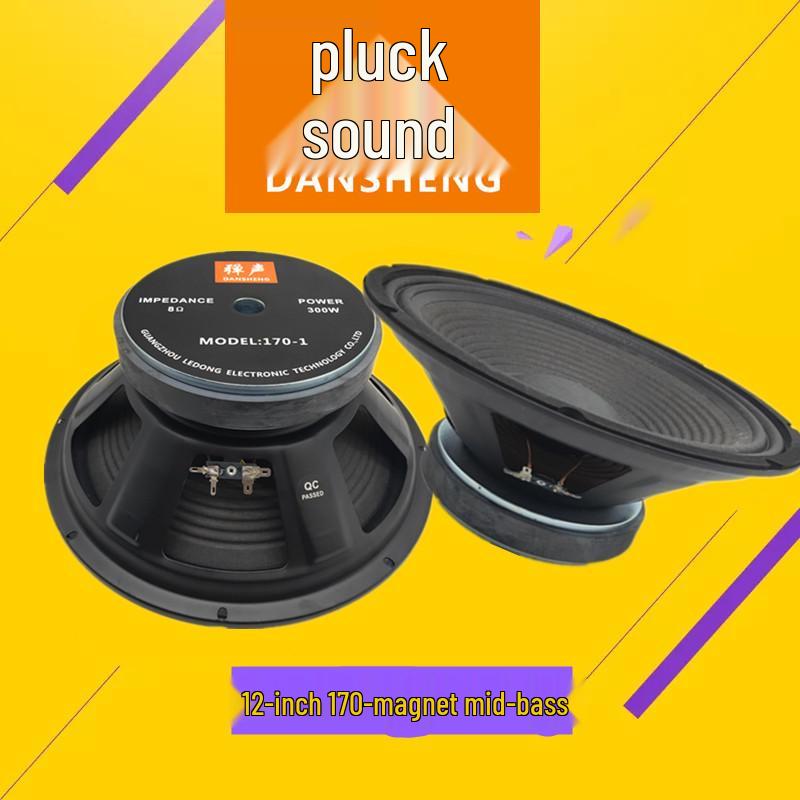 Sound Mid-Low Frequency KTV Subwoofer & Full-Range Speakers (5-15 inch)