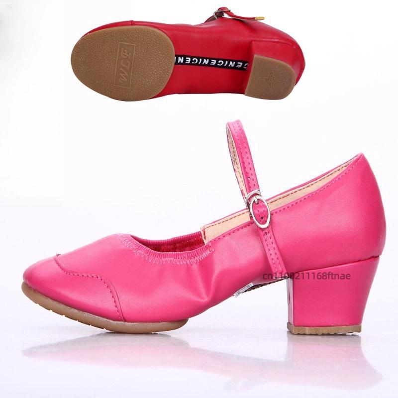 Female Dance Shoes with Soft Sole, Mid Heel, Dance Practice Shoes, Teacher's Four Season Ballroom Dance Two-point Shoes
