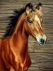 Pittura Diamante 5D Nuovi Arrivi Cavallo Ricamo Rotondo Completo Animali Mosaico Regalo Fatto a Mano Decorazione per la Casa