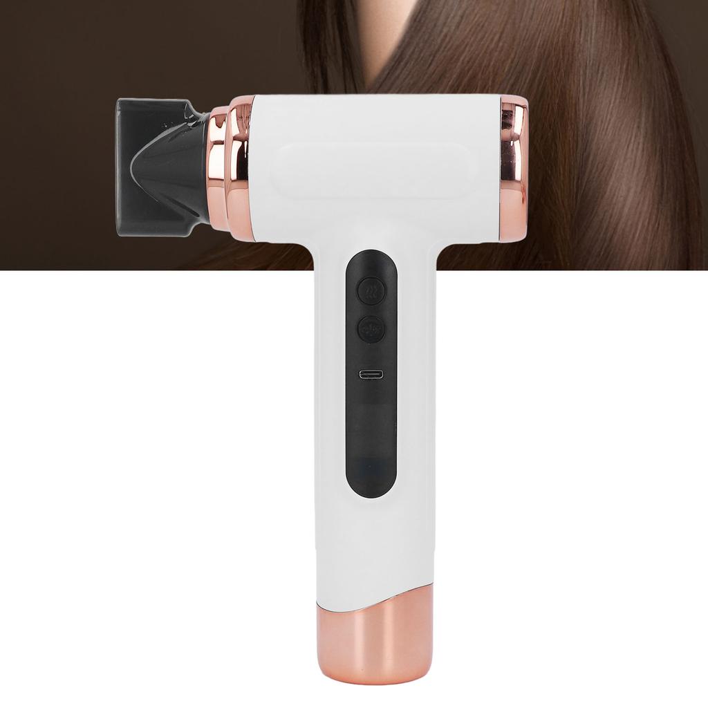 Hair Blow Dryer Wet and Dry Use 200W Powerful Hair Dryer Portable Multifunctional Pet Blow Dryer for Travel