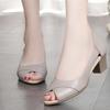 Summer Comfortable Fang and Elegant Women's Casual Sandals Fashionable New Round-headed Low-cut Sexy Party High-heeled Sandals