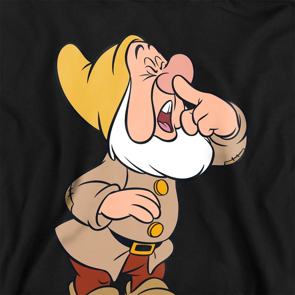 Snow White And The Seven Dwarfs Childrens/Kids Sneezy Hoodie