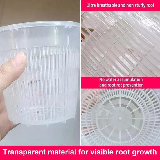 Orchid Flower Pot Clear Orchid Pot with Drainage Holes Raised Bottom Breathable Slotted Plant Pot