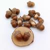 1pcs Acorn shells, handmade DIY materials, shooting props, dried flower fruit shells, acorn hats, Christmas wreath decorations, pendants, acorns