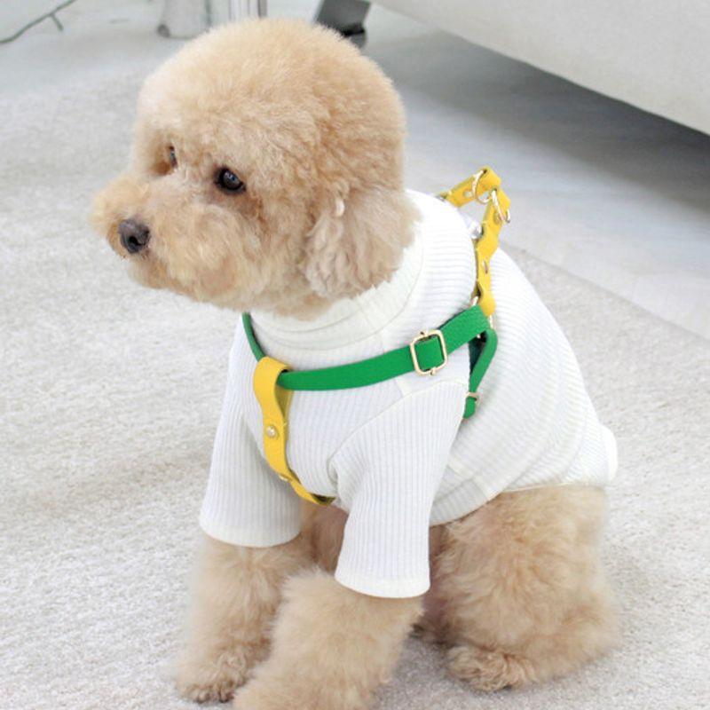 MAISON DE MIU Laufpartner Geschirr Grün/Gelb