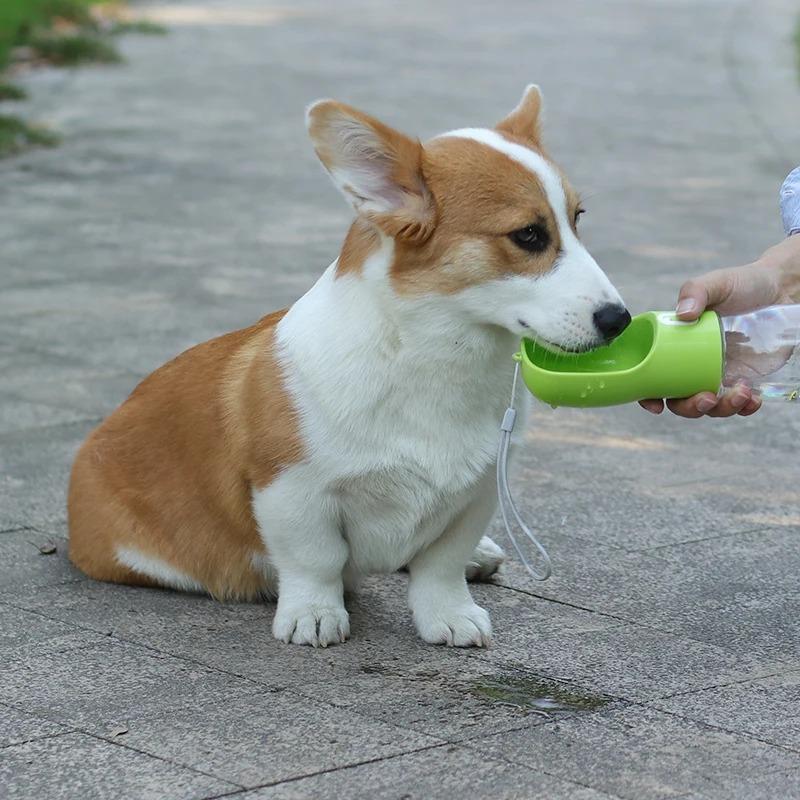 2 In 1 Pet Dog Water Bottle Cat Food Dispenser Portable Multifunctional Drinking Bowl for Small Large Dogs Travel Puppy Supplies