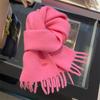 Pure Wool Scarf Women's Winter High End Tassel Warm Short Small Scarf