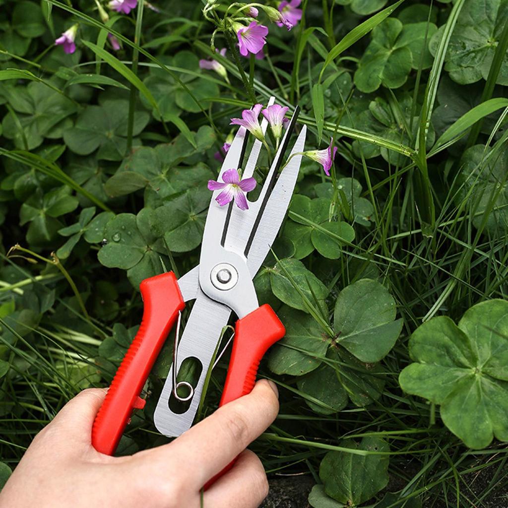 1 Pcs Stainless steel fruit picking scissor With labor-saving Handle Pruning thinning of fruit trees in landscaping horticulture