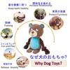 Plush Dog Toy with Interactive Training Toy for and Large Dogs Sound, Small, Medium, (Brown)