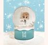 BTS (BangTan Boys) TinyTAN Snow Globe, Official, Original, Authentic, K-POP, Idol