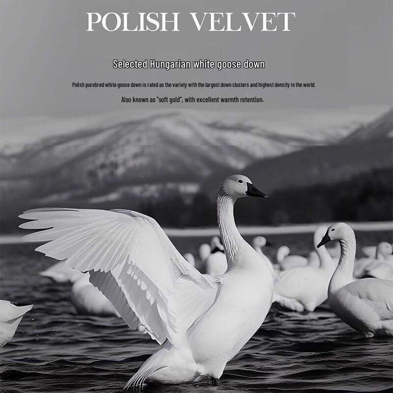 Hongxiu Shifang White Goose Down Duvet