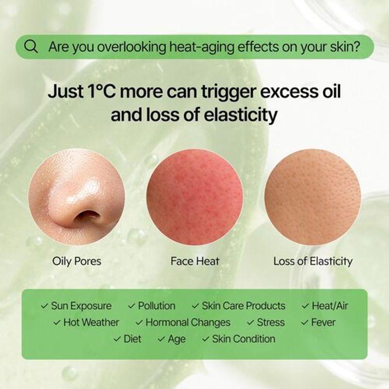 shaishaishai Aloe PDRN Cooling Mud Mask 100ml