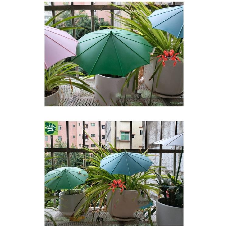 Outdoor Plant Umbrella Flower Side Multifunctional Garden Umbrella Shade for Potted Plant Outdoor Planter Pot Garden