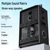 Newman N539 15-inch Portable Bluetooth Karaoke Speaker CN Plug (adapter Included)