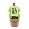 New Products Are Prohibited From Burnt Green, Anxiety Is Prohibited From Being Anxious, Whole Green Banana Fun Ornaments Plush Dolls