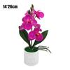 Artificial Orchids Event Decoration Potted Flowers